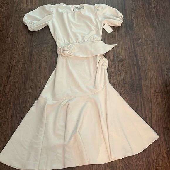 NWT Sachin & Babi Camila Short-Sleeve Crepe Dress - size 6 - Picture 10 of 14